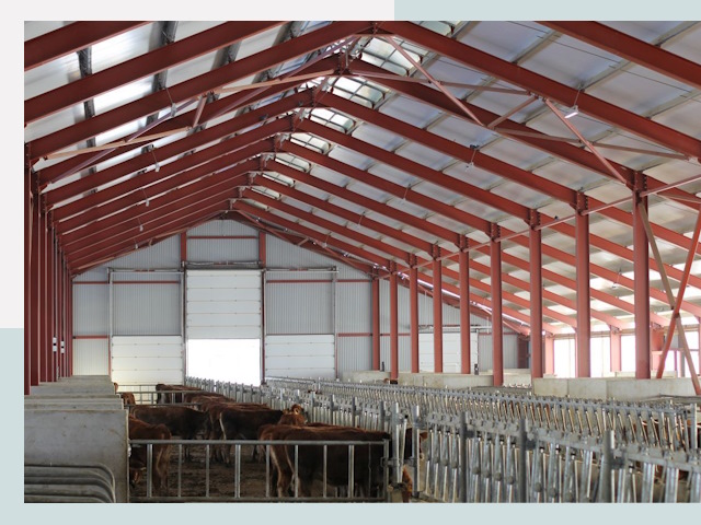 Строительство коровников в Симферополе